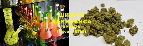 шишки Армянск