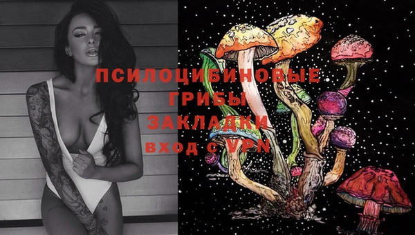 гашик Баксан