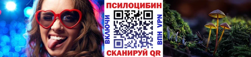 Галлюциногенные грибы мухоморы  купить наркоту  Междуреченск 